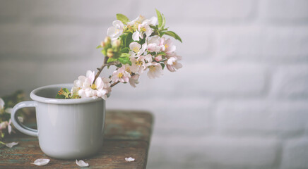 Still life with spring flowers. Spring flowering branch of apple tree in a vintage cup on the old wooden bench with white brick wall background.
