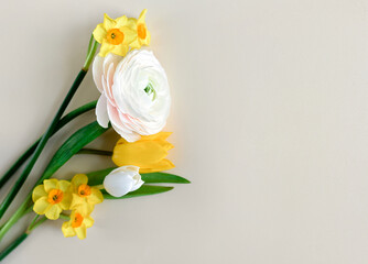 Yellow tulips on a beige background. Flat lay, top view. Concept of holiday, birthday, Easter, womens day
