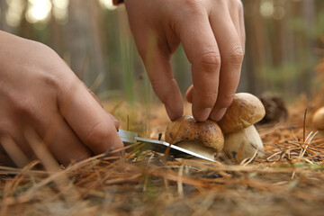 Man cutting porcini mushroom with knife in forest, closeup