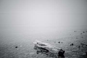 on the Lake Constance, near Friedrichshafen