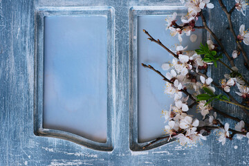 Easter background with old weathered rustic window frame with peeling paint and spring flowers light background with copy space.