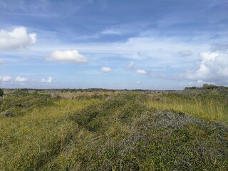 Marshes in Topsail Island, NC - October 2020