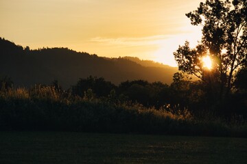 Fototapeta na wymiar Morgensonne über den Bergen scheint durch die Bäume auf eine Wiese