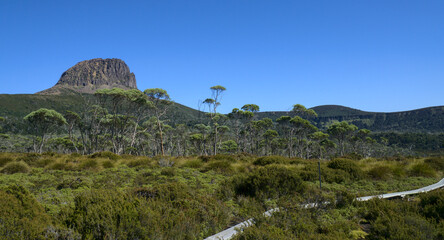 Rocky and steep mountain summit, eucalyptus tree thick forest, green grassland and a wooden hiking trail against a background of clear blue sky, The Overland Track, Tasmania, Australia