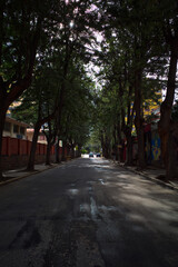 Fototapeta na wymiar street with trees