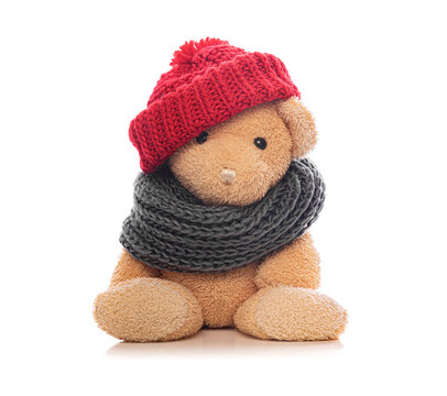Teddy bear in winter clothes isolated on a white background.