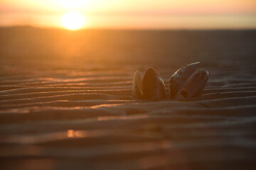 Grado, mare e tramonto