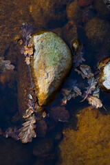 Obraz premium Río Lamason, La Venta Fresnedo, Valle del Nansa, Cantabria