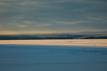 Obraz premium Winter landscape in a quiet Karelian forest.