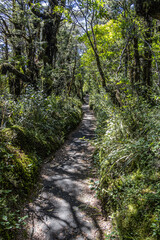 Fototapeta premium Shaded walkway at Whakapapa Village, Tongariro