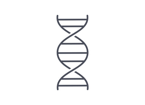 Simple line drawing chemistry icon of DNA spiral molecule on white background showing the double chains of coiled RNA forming a helix for genetics, vector illustration isolated on white background