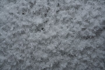 Frosty snowy surface in winter forest