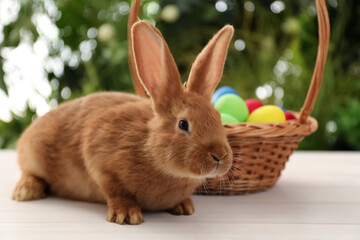 Cute bunny and basket with Easter eggs on table against blurred background