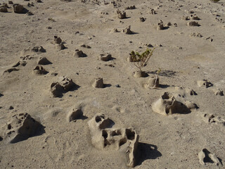 Geological "seismites" formations with curious shapes in the coast of El Médano. South of Tenerife. Canary Islands. Spain.   