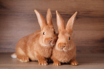 Cute bunnies on table against wooden background. Easter symbol
