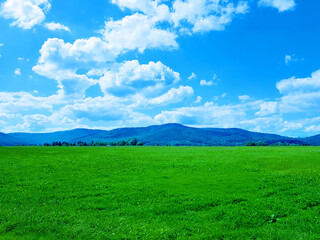 Fototapeta na wymiar Landscape with clean meadow and hill in the background wallpaper