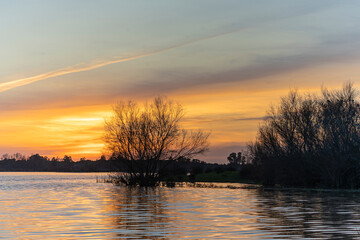 Atardecer en Doñana