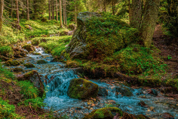 Fototapeta premium Mountain river in the Dolomites, Italy.