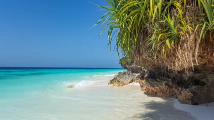 Photo sur Plexiglas Plage de Nungwi, Tanzanie Une plage magnifique avec une eau azur. Nungwi, Zanzibar, Tanzanie