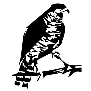 vector black and white highly stylized drawing of a falcon that sits on a branch isolated on a white background. can be used as a logo, tattoo, for printing on a t-shirt.
