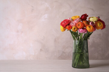 Beautiful fresh ranunculus flowers in vase on white table, space for text