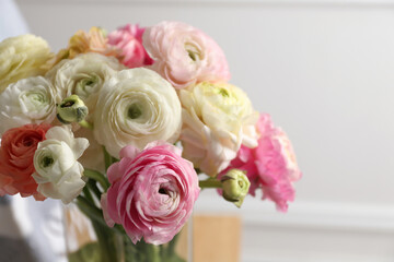 Beautiful ranunculus flowers on light background, closeup
