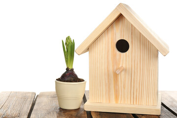 Beautiful bird house and potted hyacinth on wooden table against white background