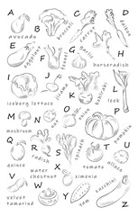 ABC English food alphabet. Fruits, vegetables, nuts. Vegetarian, vegan, healthy food. Black and white hand drawn charcoal drawing. Learn the English alphabet. Vocabulary. Isolated on white. Vector.