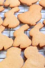 Traditional ginger cookies for Easter.