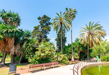 Fototapeta na wymiar Palm trees in Ciutadella park, Barcelona, Spain