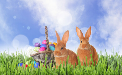Cute bunnies and wicker basket with colorful Easter eggs on green grass outdoors