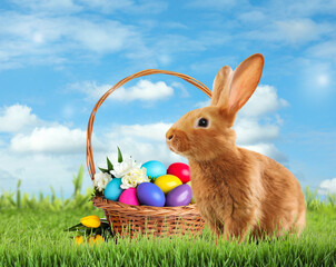 Cute bunny and wicker basket with colorful Easter eggs on green grass outdoors