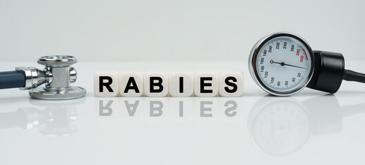 On a reflective white surface lies a stethoscope and cubes with the inscription - RABIES