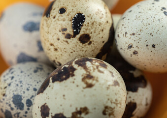 Obraz premium Close up photo of organic quail egg