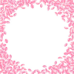 Sakura petals falling down. Romantic pink bright medium flowers. Thick flying cherry petals. Corner