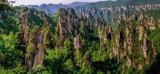 Forest and mountains