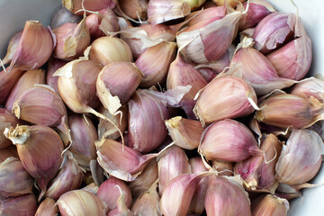Separated cloves of garlic before planting in the ground