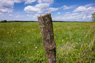 Barbed Wire Fence Post