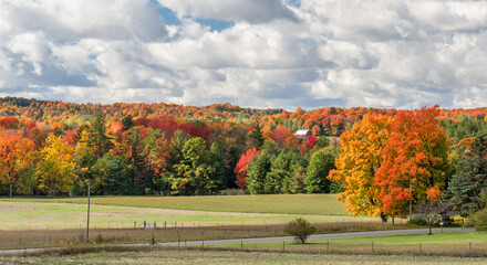 Obraz premium Colorful Autumn Scenic drive in central Michigan countryside - barn
