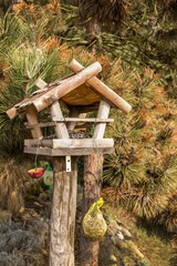 Garden Bird Feeder.  Protection of endangered bird species.