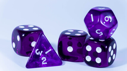 close up of role playing purple dice
