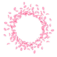 Sakura petals falling down. Romantic pink silky medium flowers. Thick flying cherry petals. Frame ci