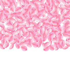 Fototapeta premium Sakura petals falling down. Romantic pink bright big flowers. Thick flying cherry petals. Top gradie
