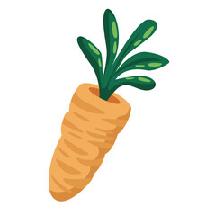 fresh carrot vegetable isolated icon
