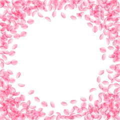 Sakura petals falling down. Romantic pink silky medium flowers. Thick flying cherry petals. Circle f