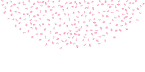 Sakura petals falling down. Romantic pink silky small flowers. Sparse flying cherry petals. Wide top