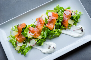 Healthy and colorful Salmon Salad with cheese, vegetables and white yoghurt