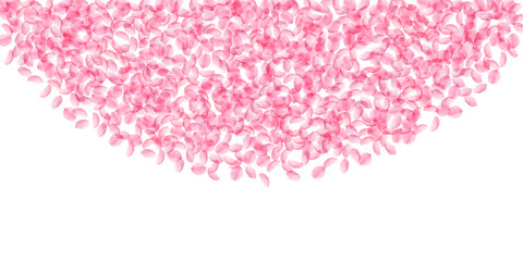 Fototapeta na wymiar Sakura petals falling down. Romantic pink silky medium flowers. Thick flying cherry petals. Wide top