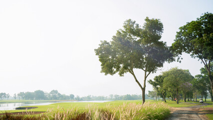 Vast golf course with canals or rivers to the side And shady trees with flowery shrubs and grass along the walkway. The atmosphere of the golf course in the morning, fog and sunshine in the morning.