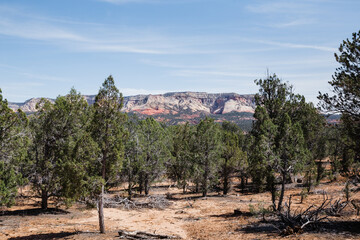 Green forest and sandstone mountains, viewed from Mt. Carmel Highway Scenic Drive, Utah